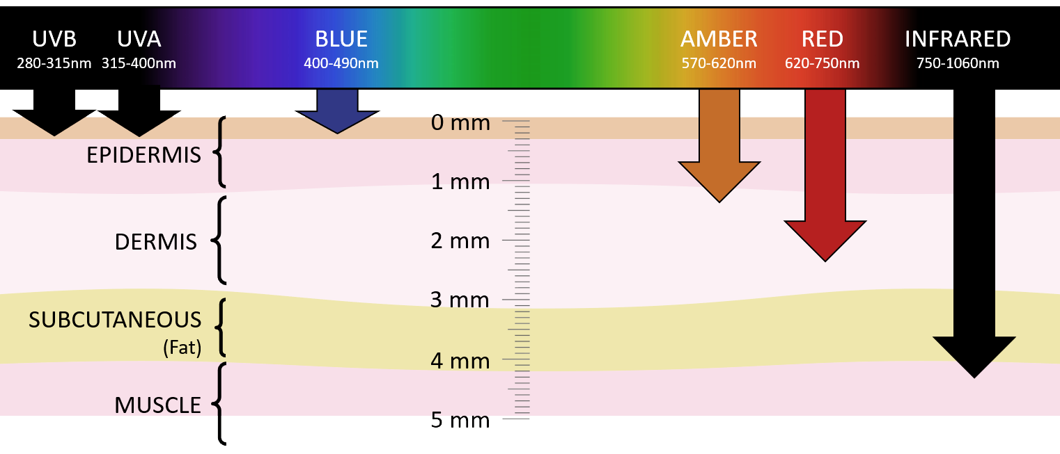 Light wavelength penetration into skin layers